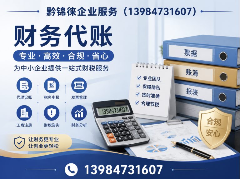 南明区财务代账展示图